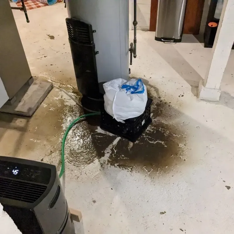Sewage Backup Cleanup Service in Madera Acres, CA